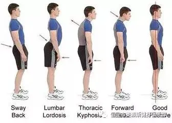 篮球基本功训练计划视频讲解_2
